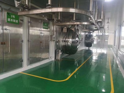 真空凍干機(jī)廠家講什么是冷凍干燥的過程 真空凍干機(jī)廠家講什么是冷凍干燥的過程